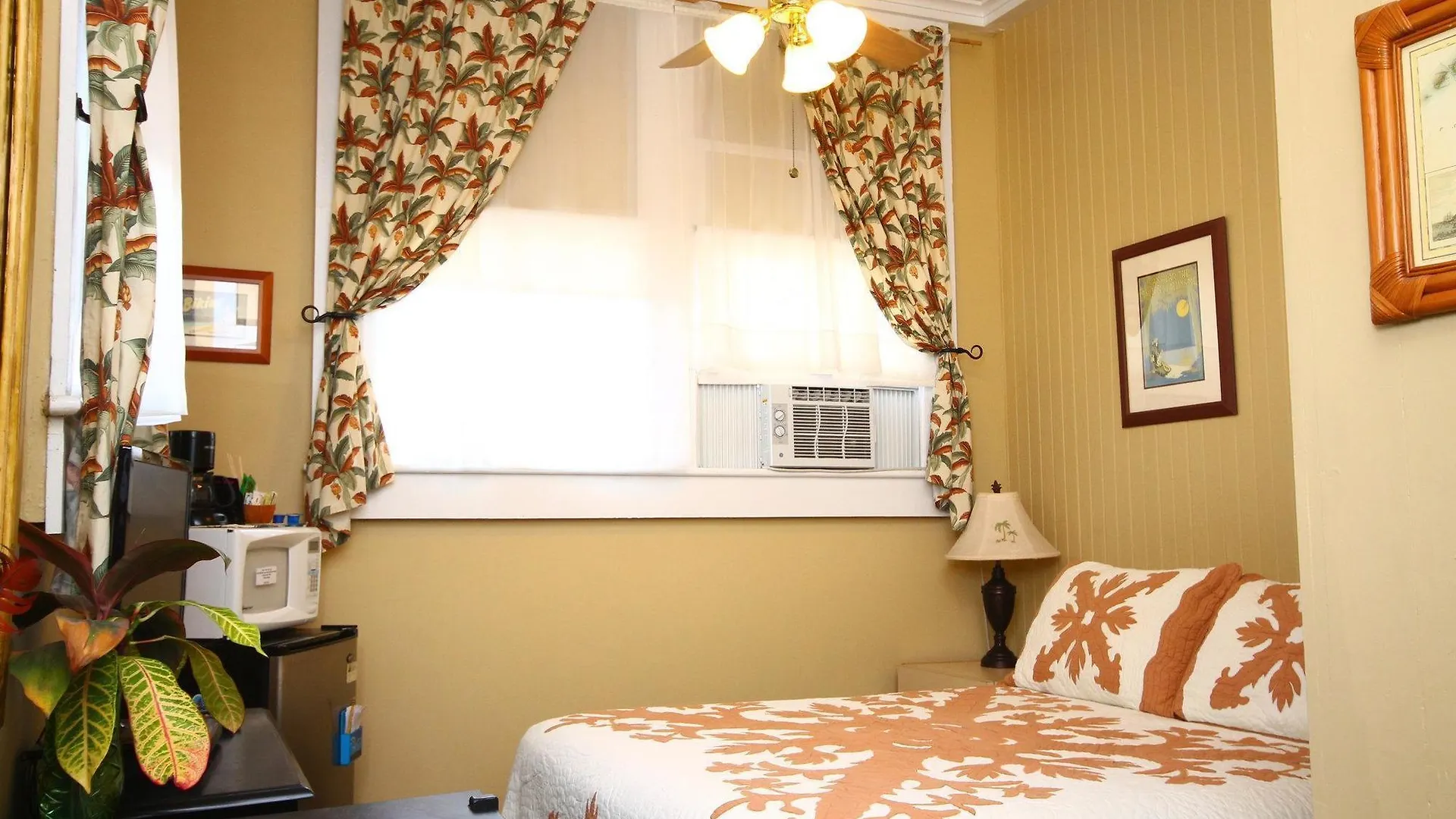 Gasthuis Wailuku Guesthouse
